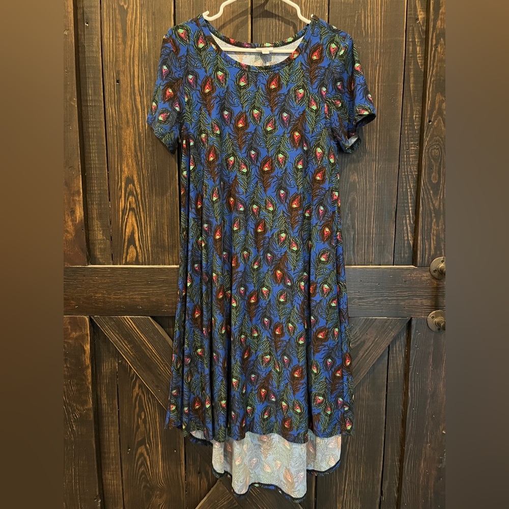 EUC LuLaRoe Small Carly Dress